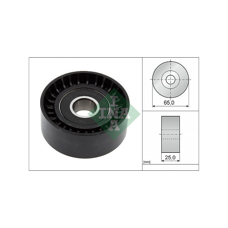 Tendicinghia trapezoidale - INA