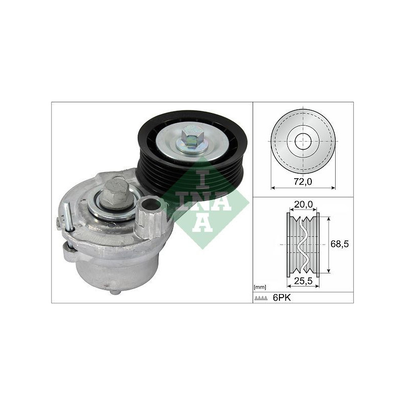 Tendicinghia trapezoidale - INA