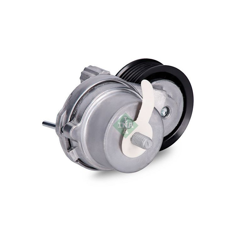 Tendicinghia trapezoidale - INA