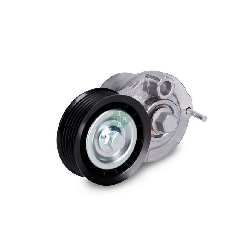 Tendicinghia trapezoidale - INA