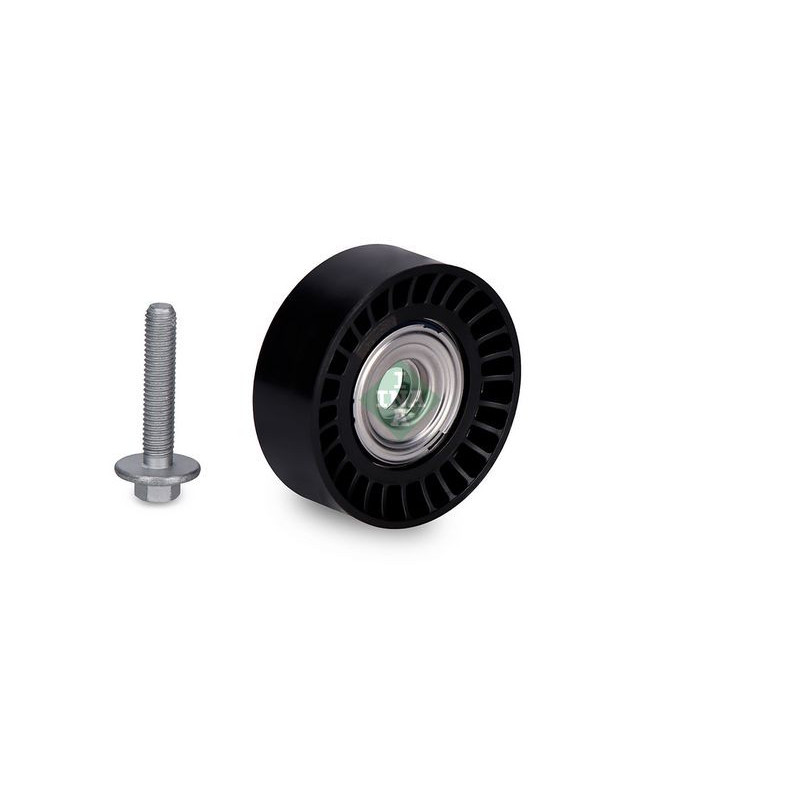 Tendicinghia trapezoidale - INA