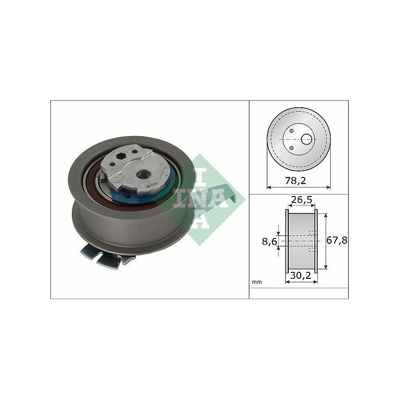 Tendicinghia distribuzione - INA