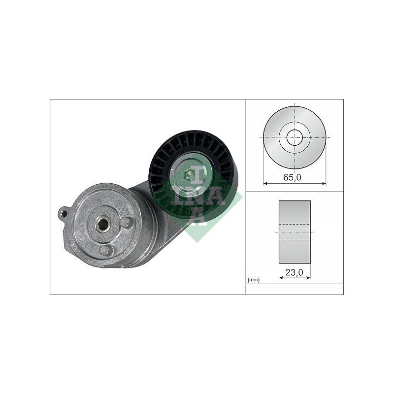 Tendicinghia trapezoidale - INA