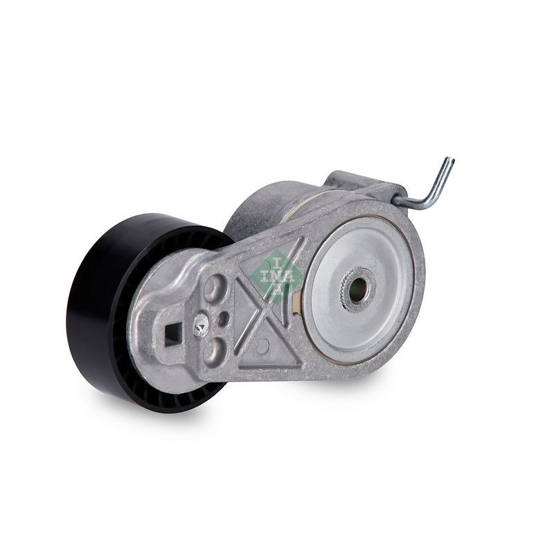 Tendicinghia trapezoidale - INA