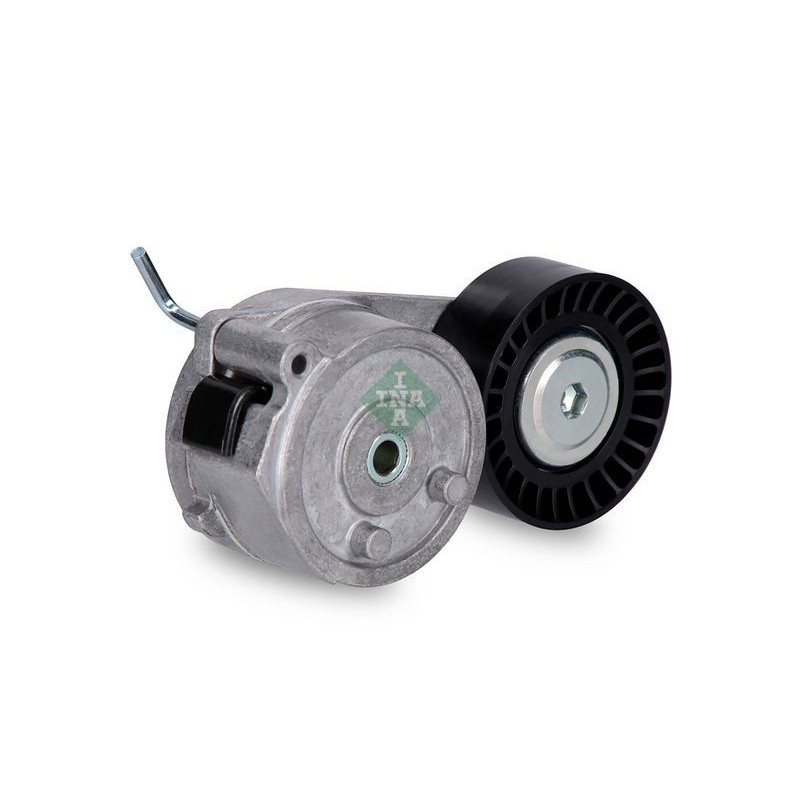 Tendicinghia trapezoidale - INA