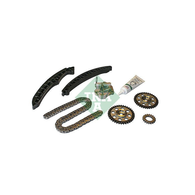 Cinghia/catena distribuzione - INA