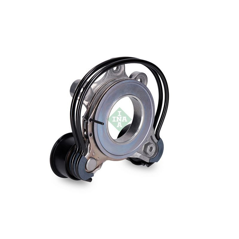 Tendicinghia trapezoidale - INA