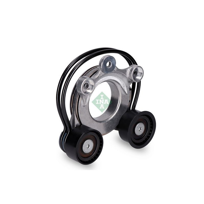 Tendicinghia trapezoidale - INA