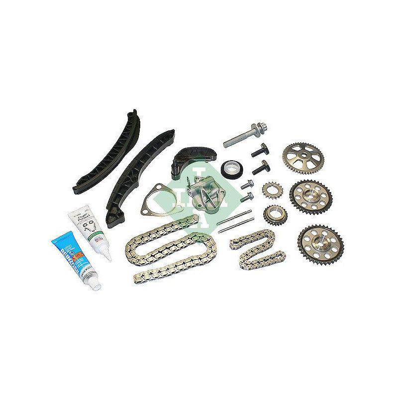 Cinghia/catena distribuzione - INA