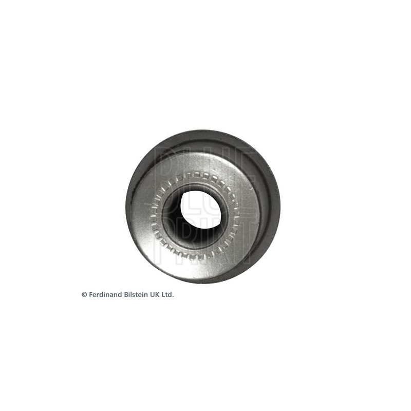 Supporto braccio oscillante - BLUE PRINT