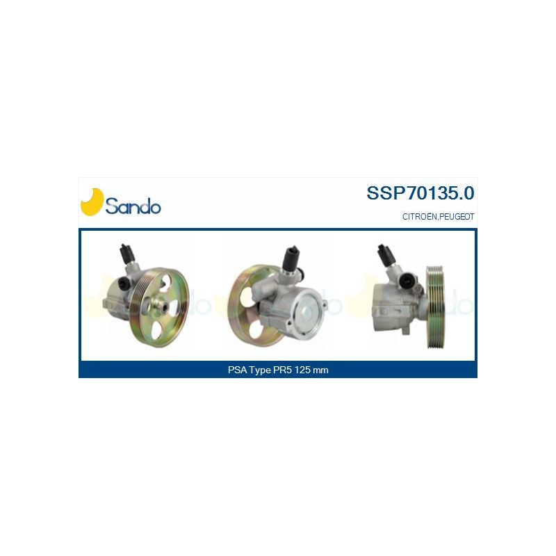 Pompa idraulica servosterzo - SANDO