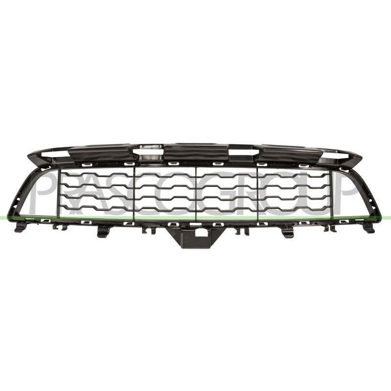 Griglia paraurti - PRASCO