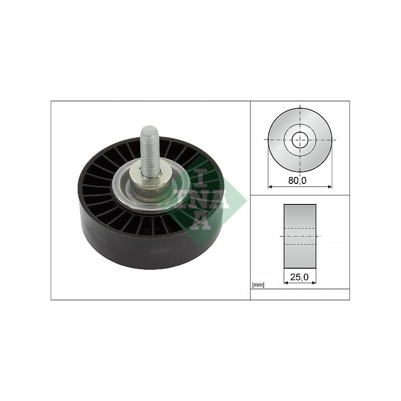 Tendicinghia trapezoidale - INA