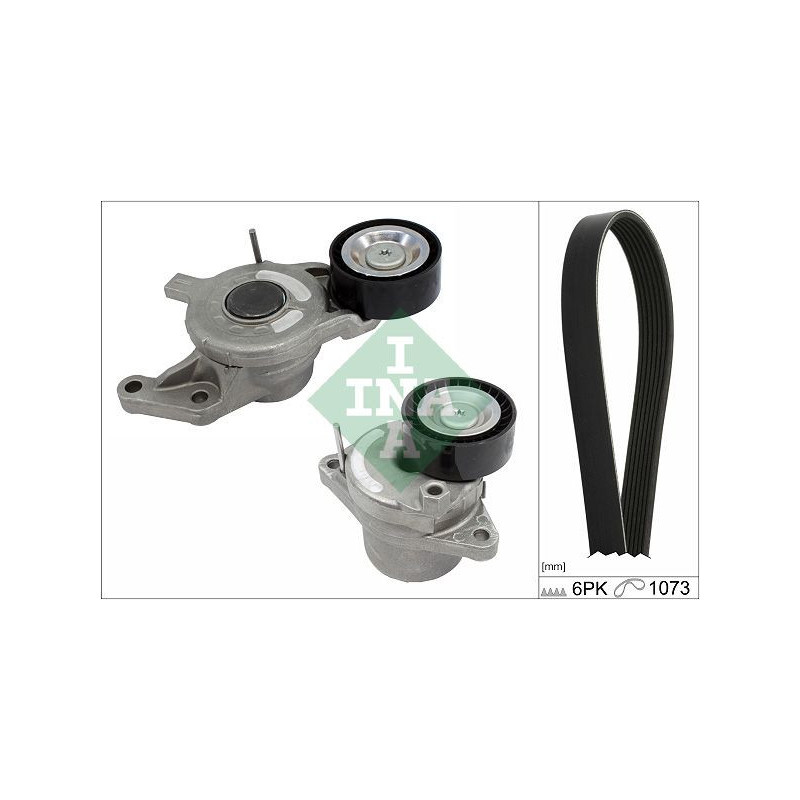 Tendicinghia trapezoidale - INA