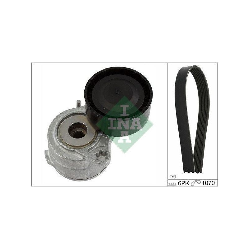 Tendicinghia trapezoidale - INA