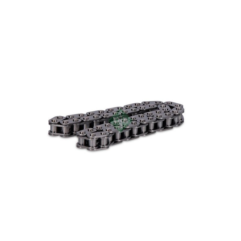 Paraolio albero motore - INA