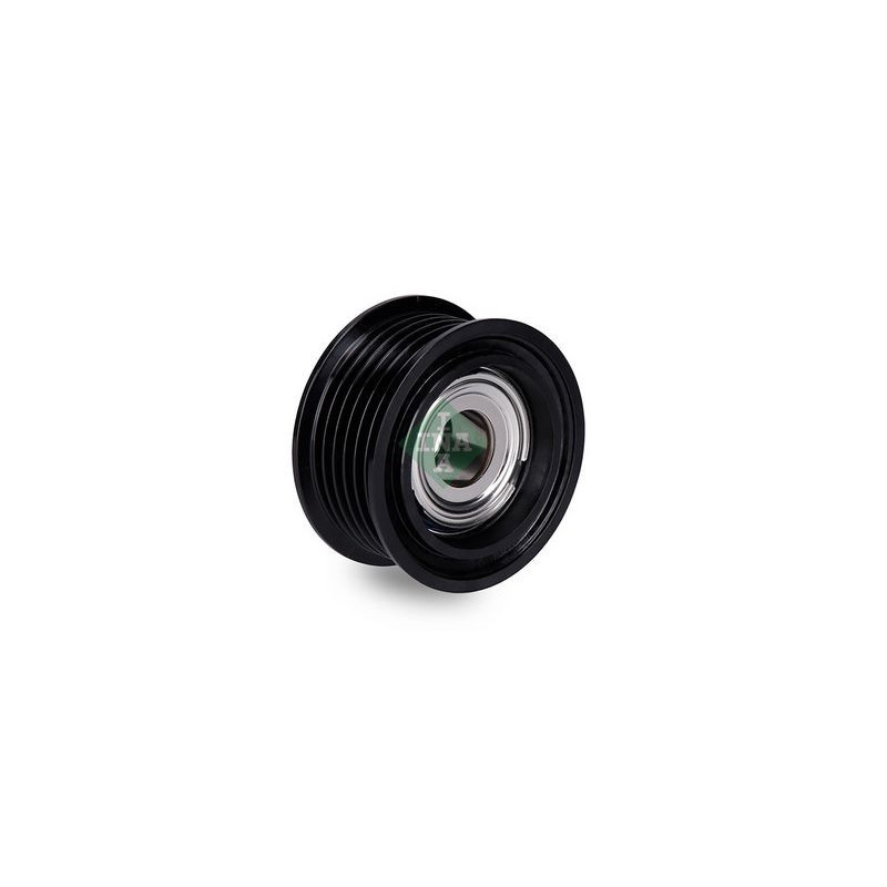 Tendicinghia trapezoidale - INA