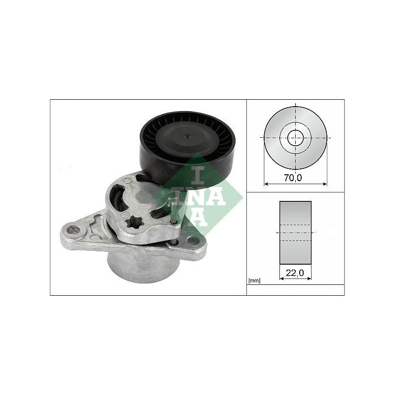 Tendicinghia trapezoidale - INA