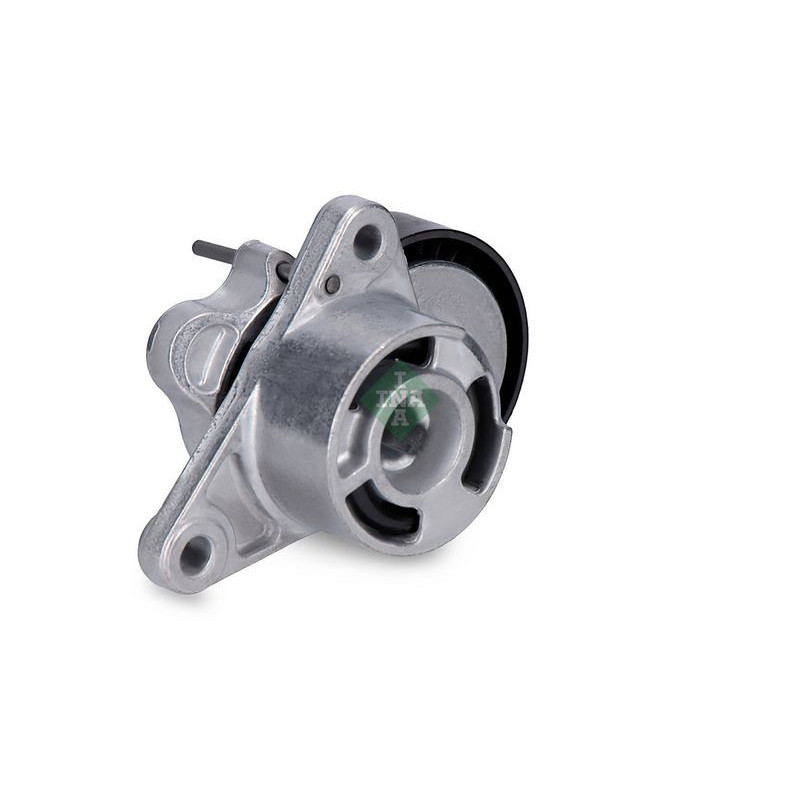 Tendicinghia trapezoidale - INA