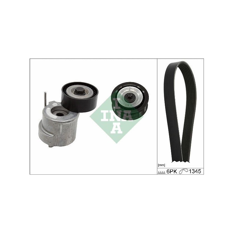 Tendicinghia trapezoidale - INA