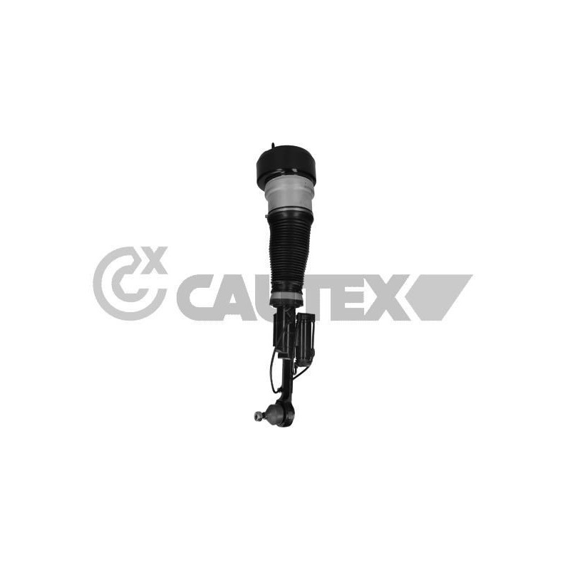 Ammortizzatore asse anteriore - CAUTEX GOMMA E PARTI MOTORE