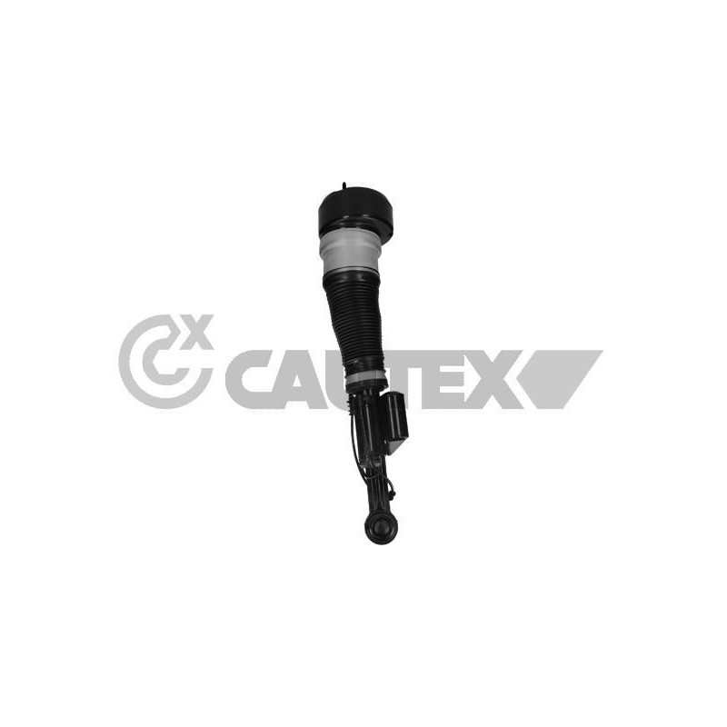 Ammortizzatore asse anteriore - CAUTEX GOMMA E PARTI MOTORE