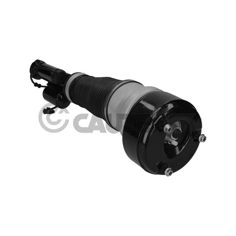 Ammortizzatore asse anteriore - CAUTEX GOMMA E PARTI MOTORE