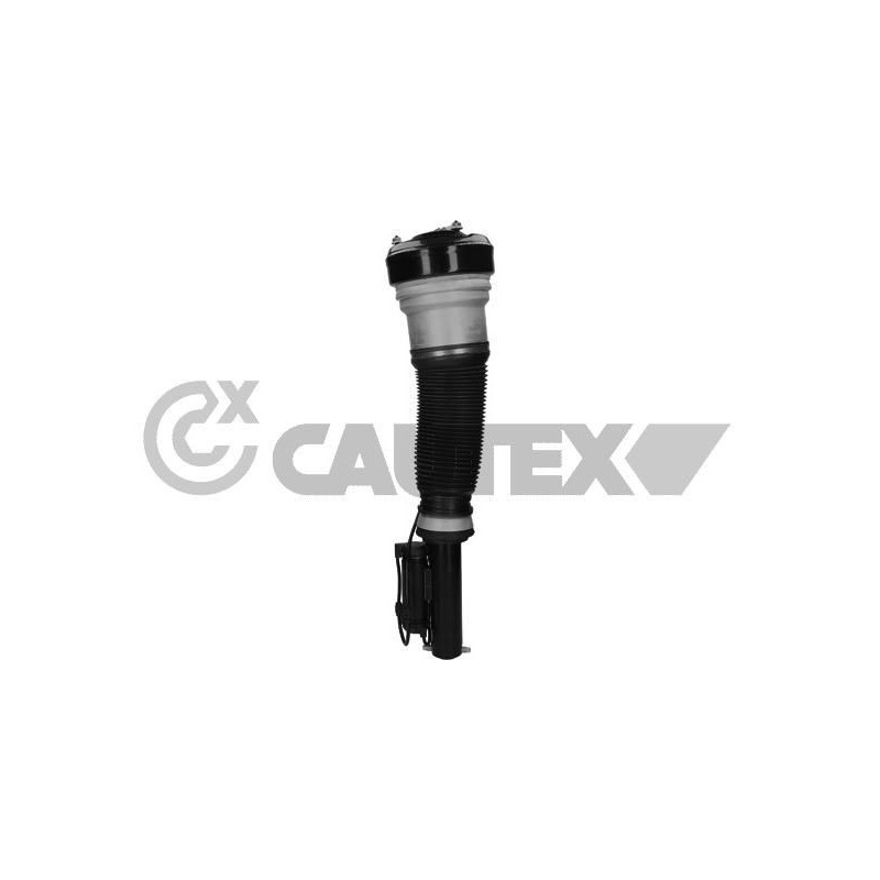 Ammortizzatore asse anteriore - CAUTEX GOMMA E PARTI MOTORE