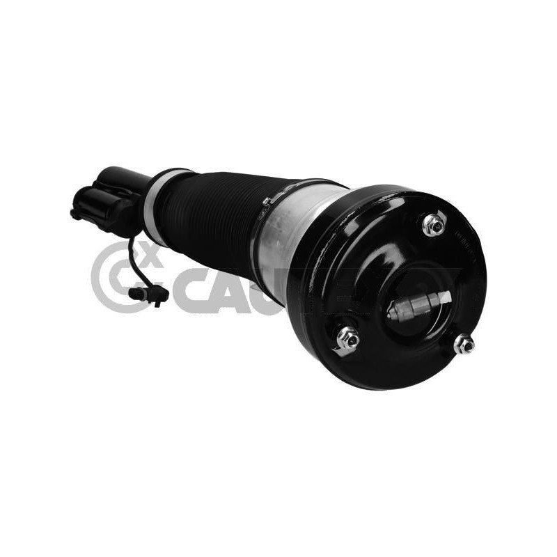 Ammortizzatore asse anteriore - CAUTEX GOMMA E PARTI MOTORE