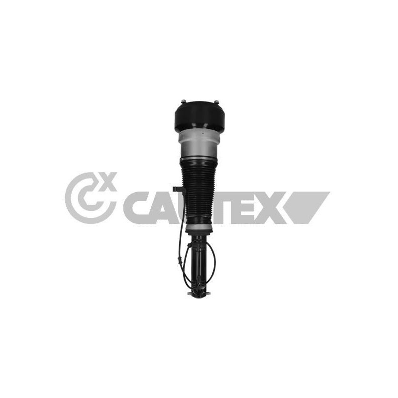 Ammortizzatore asse anteriore - CAUTEX GOMMA E PARTI MOTORE