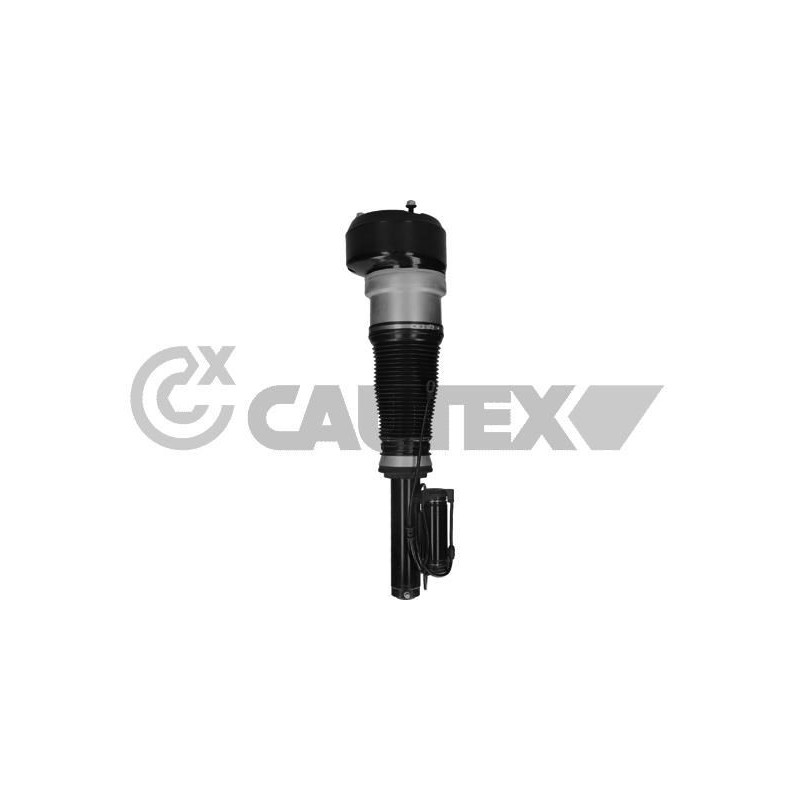 Ammortizzatore asse anteriore - CAUTEX GOMMA E PARTI MOTORE