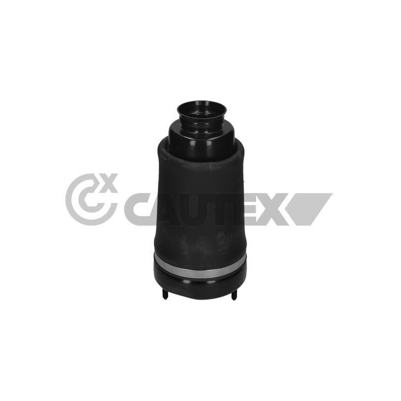 Ammortizzatore asse anteriore - CAUTEX GOMMA E PARTI MOTORE