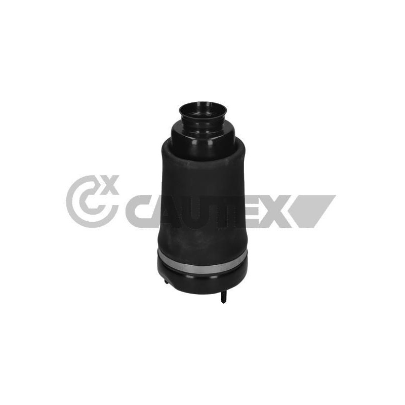 Ammortizzatore asse anteriore - CAUTEX GOMMA E PARTI MOTORE