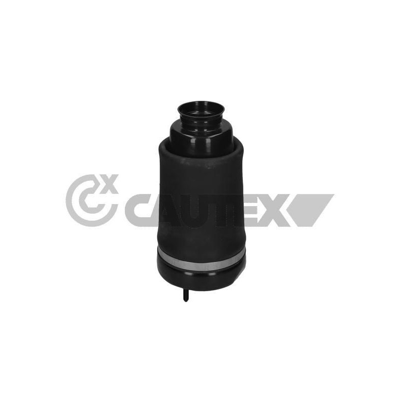 Ammortizzatore asse anteriore - CAUTEX GOMMA E PARTI MOTORE