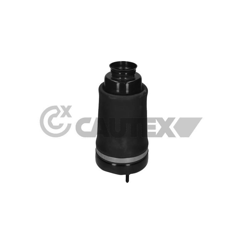 Ammortizzatore asse anteriore - CAUTEX GOMMA E PARTI MOTORE