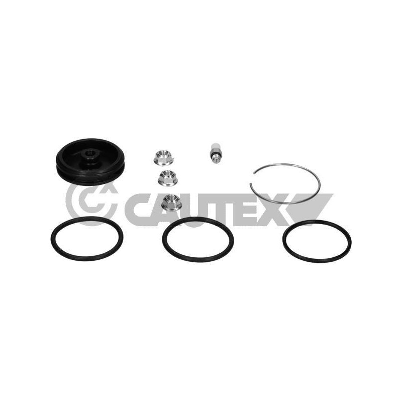 Ammortizzatore asse anteriore - CAUTEX GOMMA E PARTI MOTORE