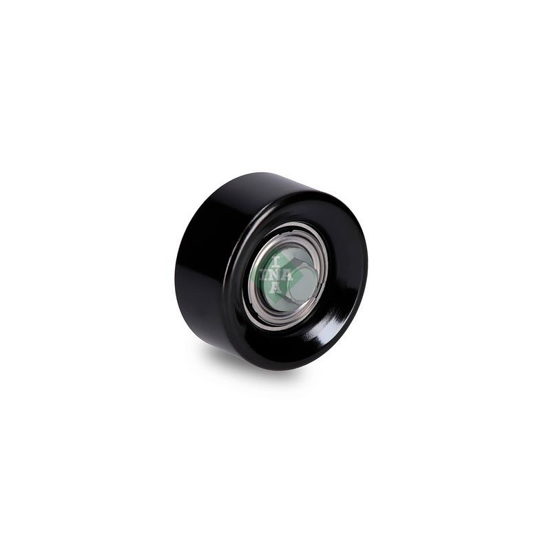 Tendicinghia trapezoidale - INA