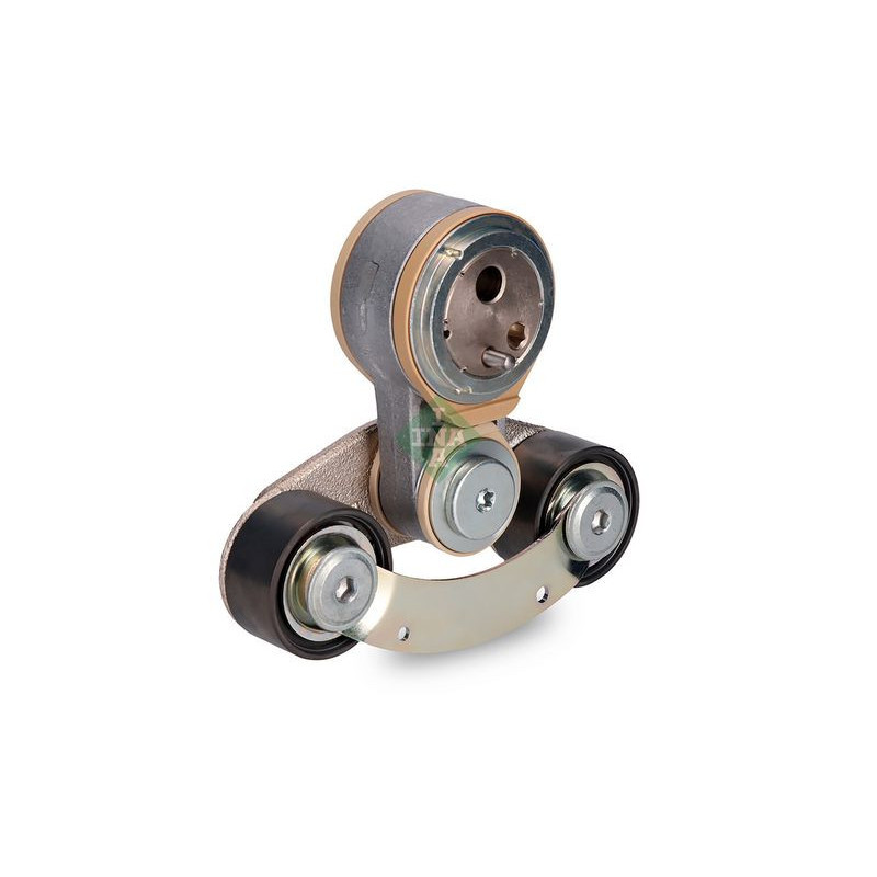 Tendicinghia trapezoidale - INA