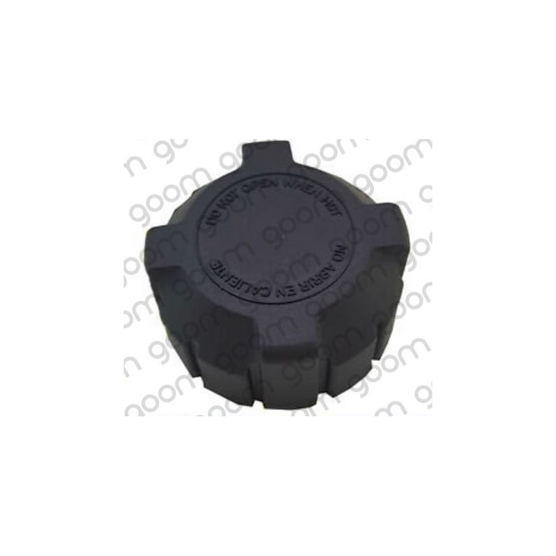 Vaschetta espansione - GOOM