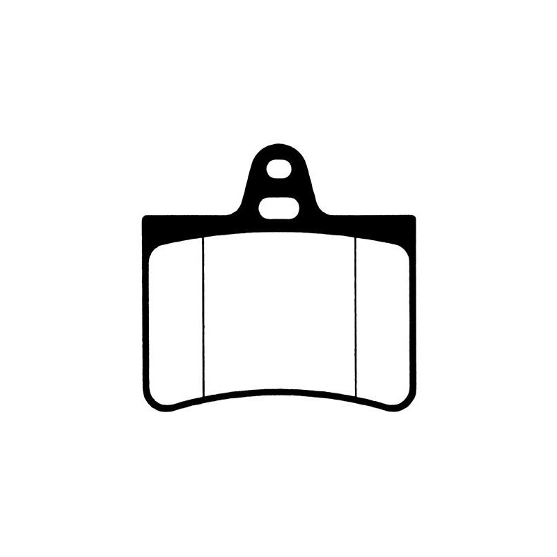 Pastiglie freno asse posteriore - RAICAM