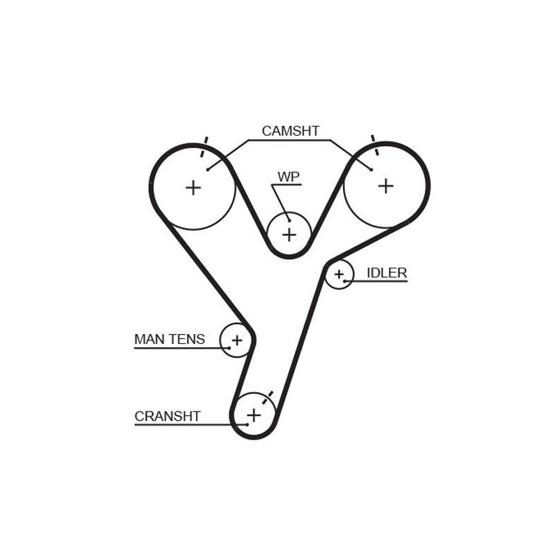Cinghia/catena distribuzione - GATES