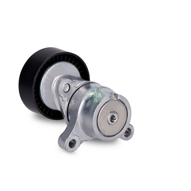 Tendicinghia trapezoidale - INA