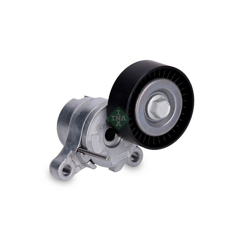 Tendicinghia trapezoidale - INA