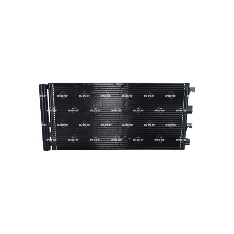 Cinghia/catena distribuzione - NRF