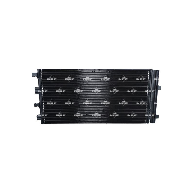 Cinghia/catena distribuzione - NRF