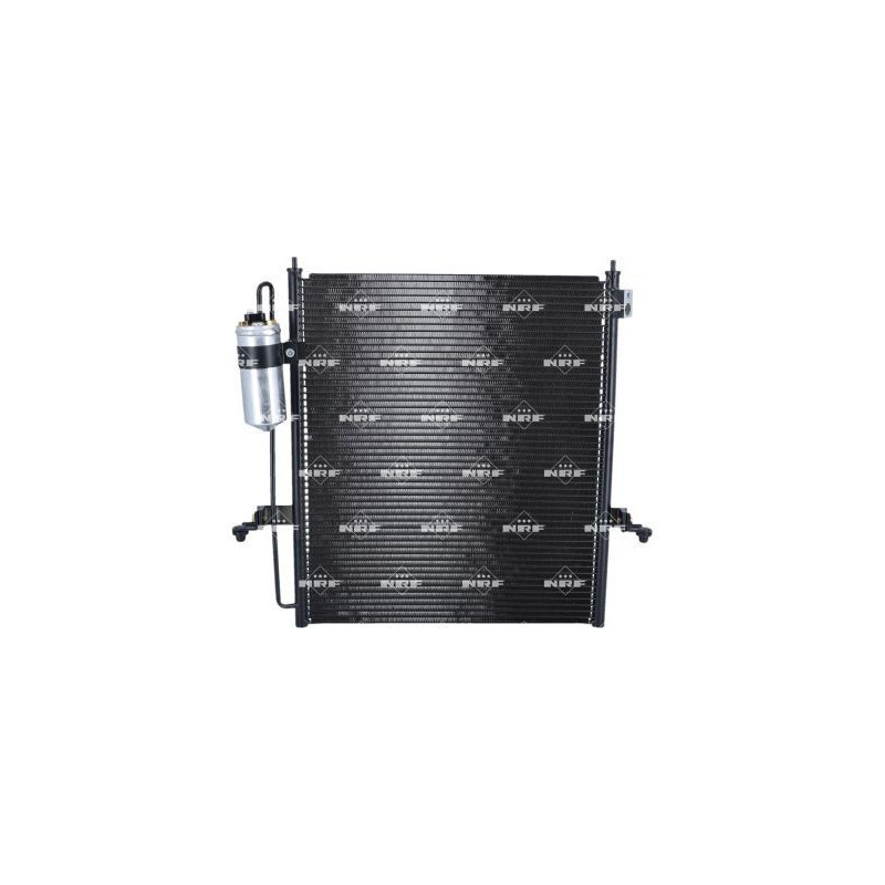 Cinghia/catena distribuzione - NRF