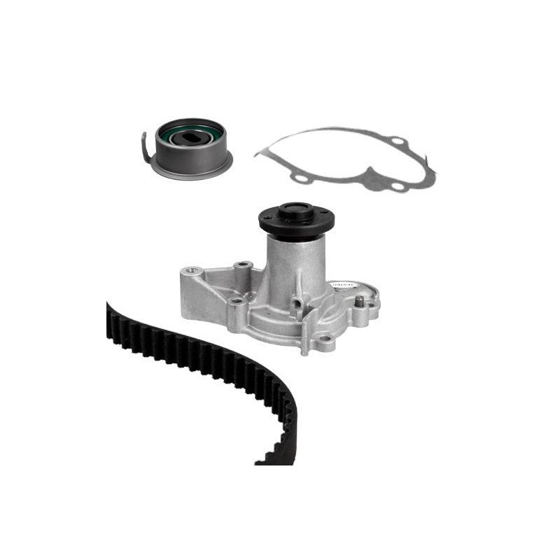 Cinghia/catena distribuzione - GRAF