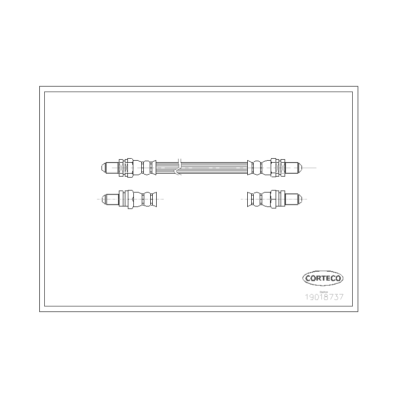 Flessibile freno asse posteriore - CORTECO