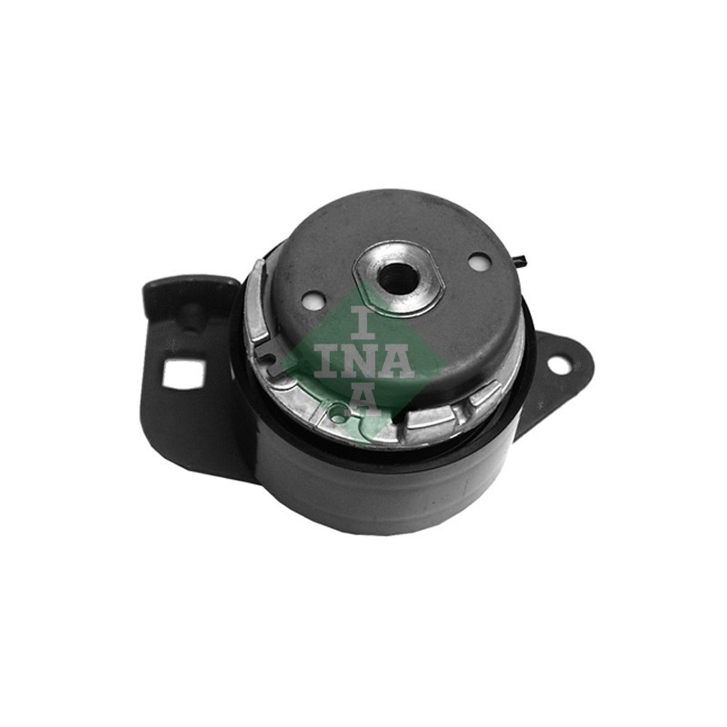 Tendicinghia distribuzione - INA