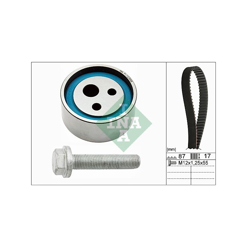 Kit distribuzione - INA